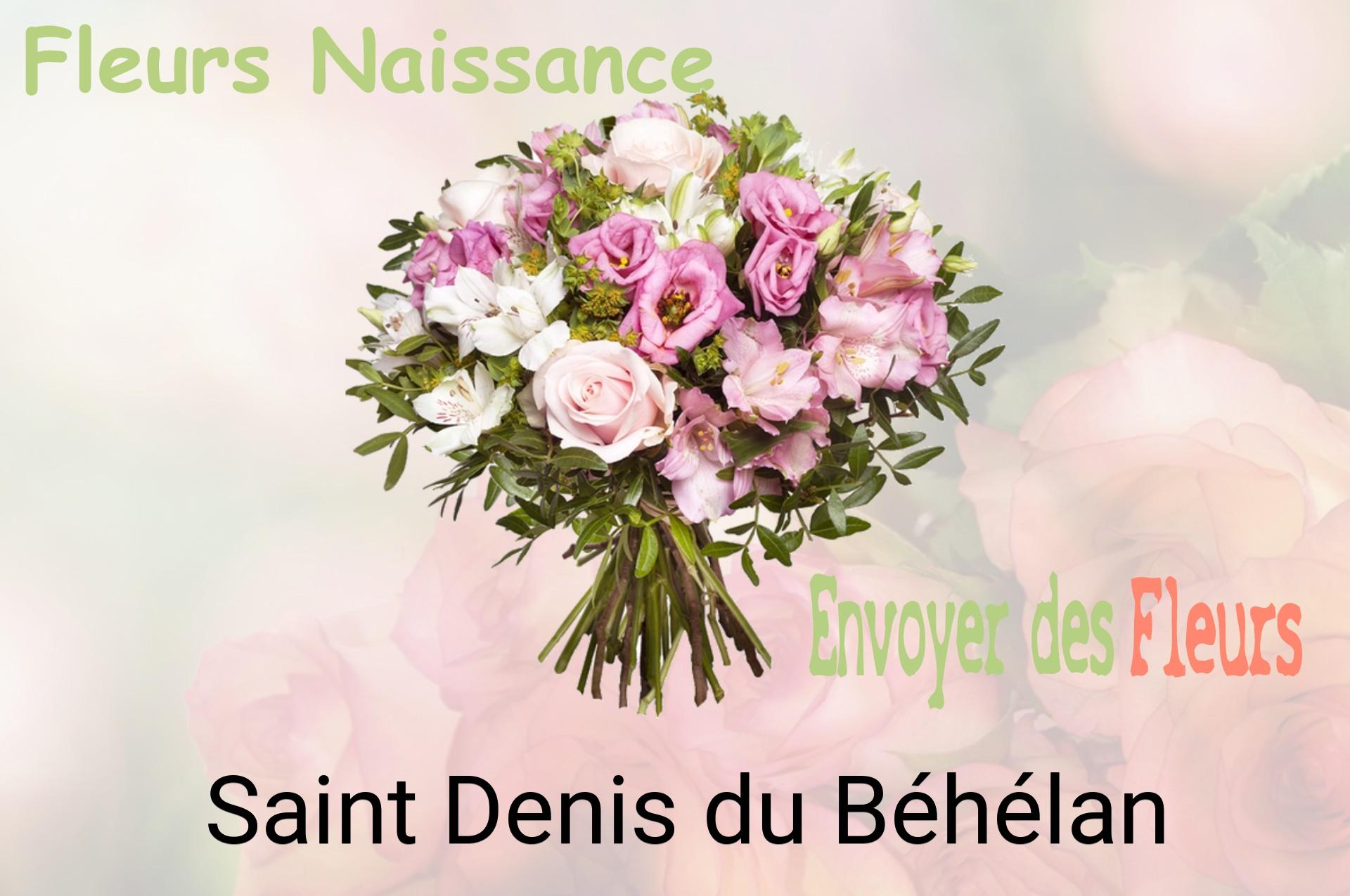 Bouquet de fleurs de naissance livré à Saint-Denis-du-Béhélan